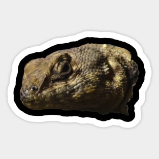 lizard Sticker